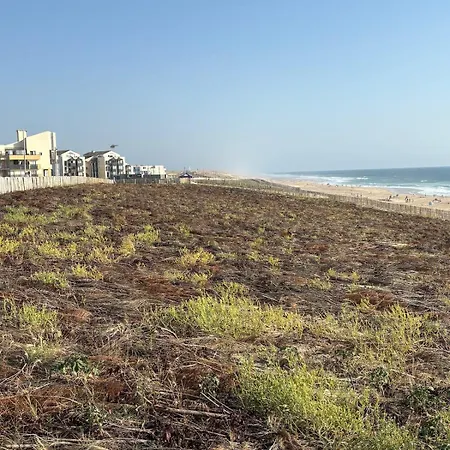 Lacanau-ocean Triplex Front De